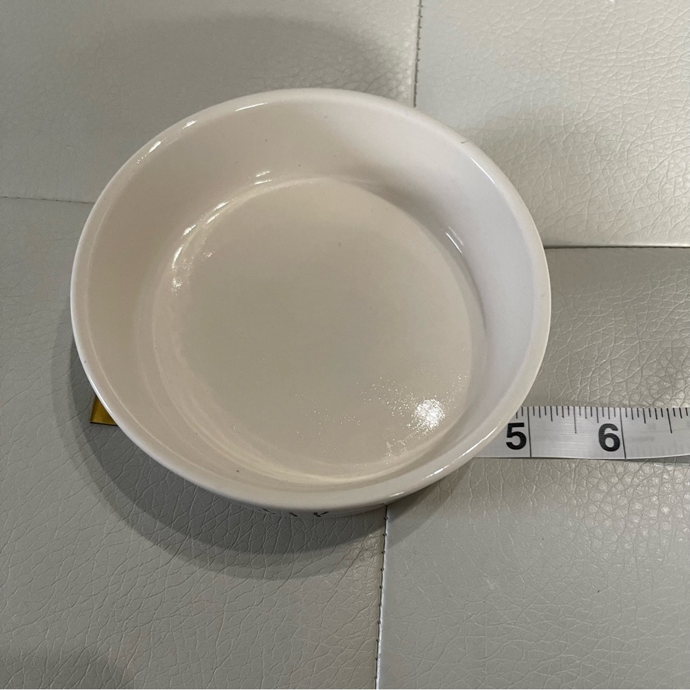 Rae Dunn artisan collection Sip Ceramic Pet Bowl NWT goldfish - Picture 4 of 5